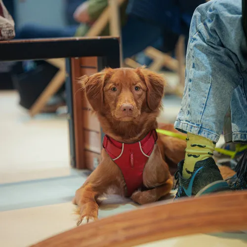 quelle_messewels (82).jpg